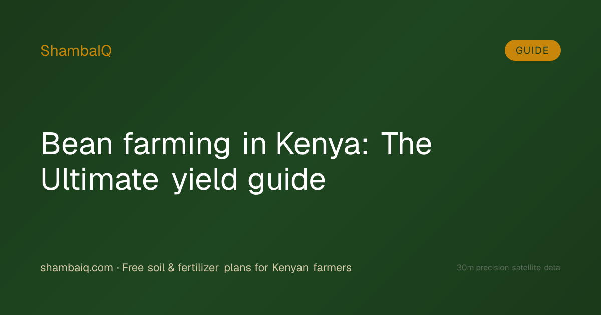 Bean farming in Kenya: The Ultimate yield guide