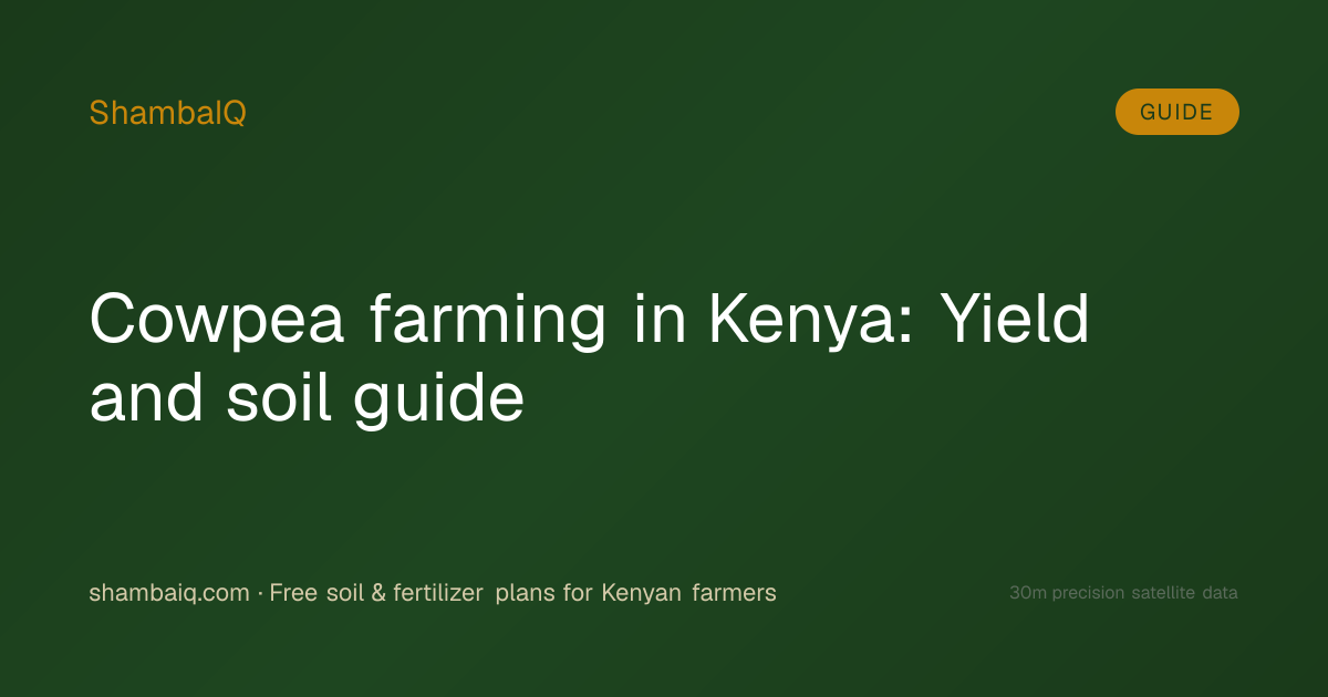 Cowpea farming in Kenya: Yield and soil guide