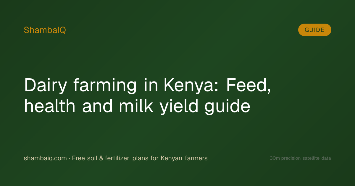 Dairy farming in Kenya: Feed, health and milk yield guide