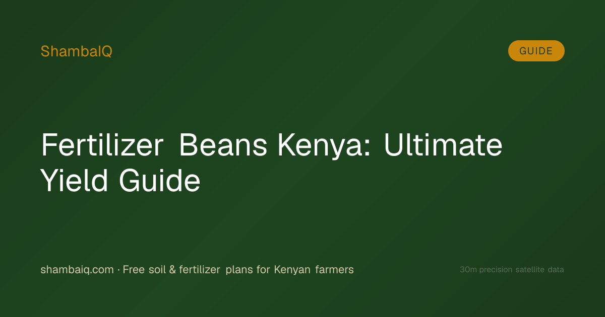 Fertilizer Beans Kenya: Ultimate Yield Guide