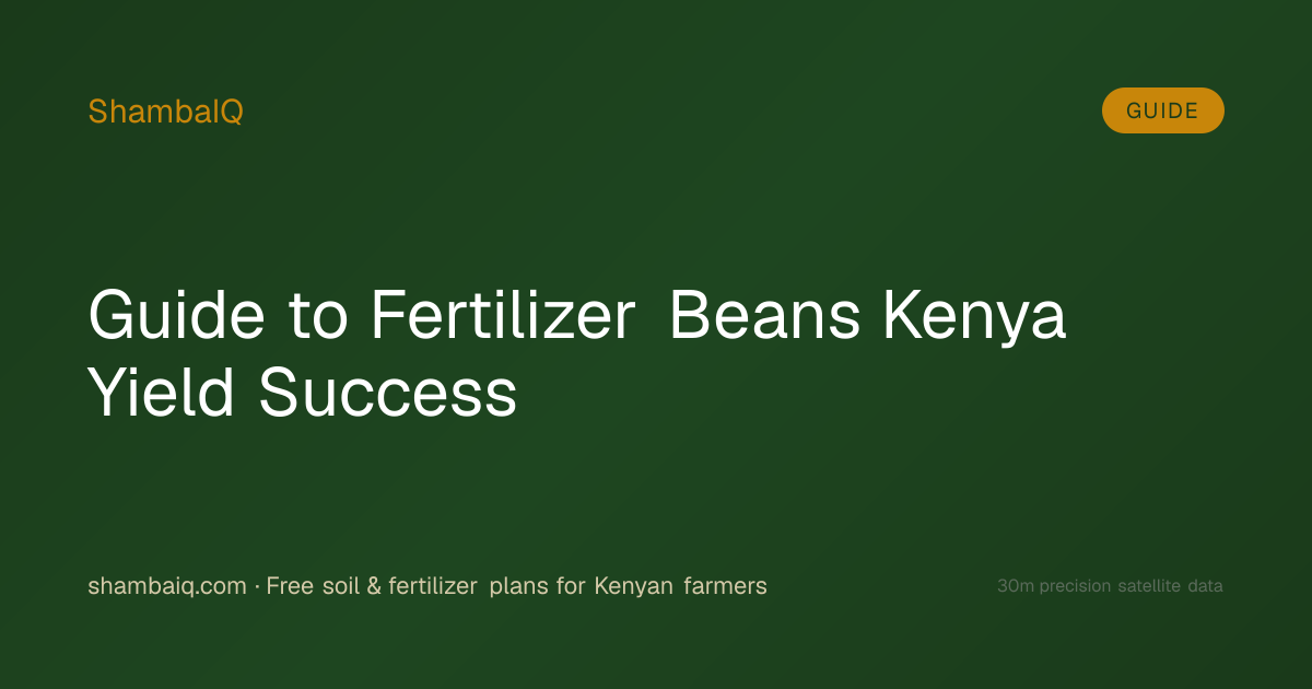Guide to Fertilizer Beans Kenya Yield Success