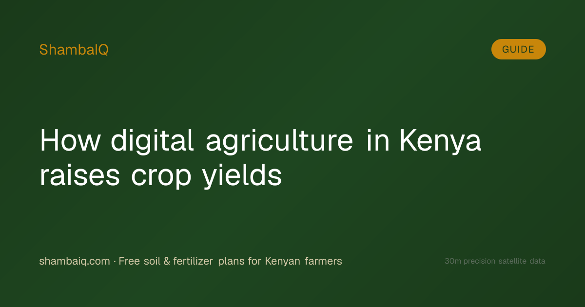 How digital agriculture in Kenya raises crop yields