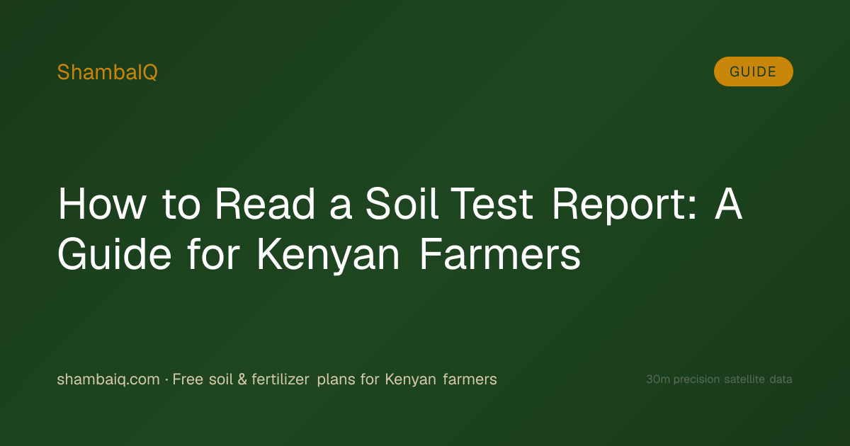 How to Read a Soil Test Report: A Guide for Kenyan Farmers