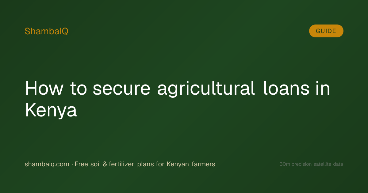 How to secure agricultural loans in Kenya