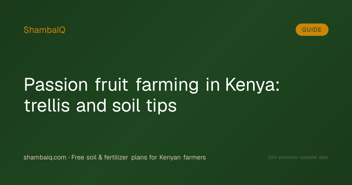 Passion fruit farming in Kenya: trellis and soil tips