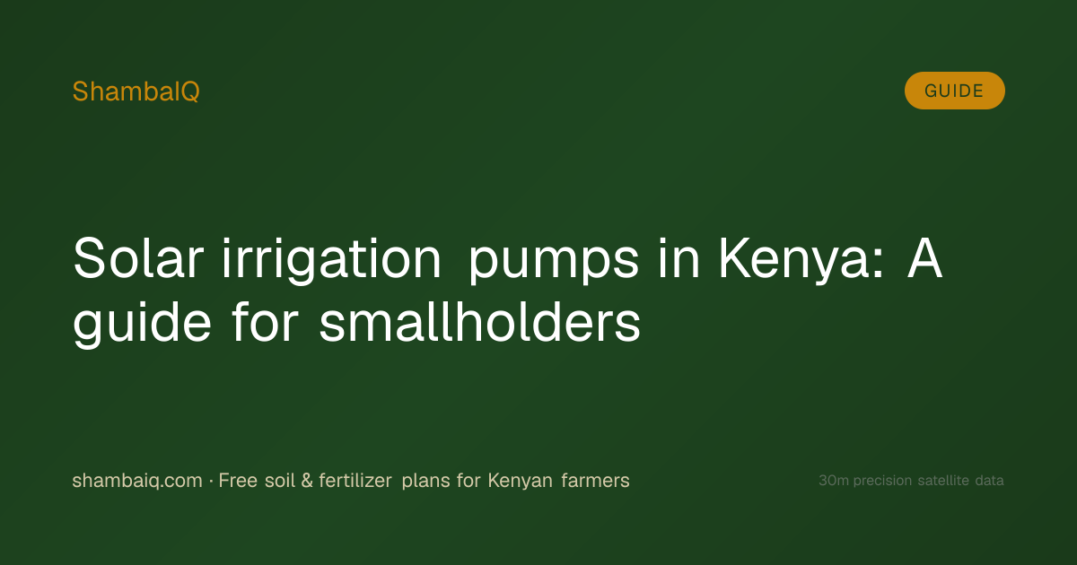 Solar irrigation pumps in Kenya: A guide for smallholders