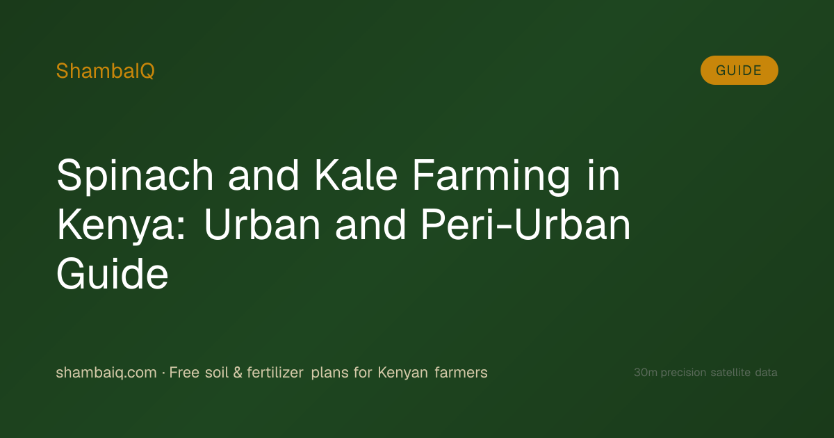 Spinach and Kale Farming in Kenya: Urban and Peri-Urban Guide