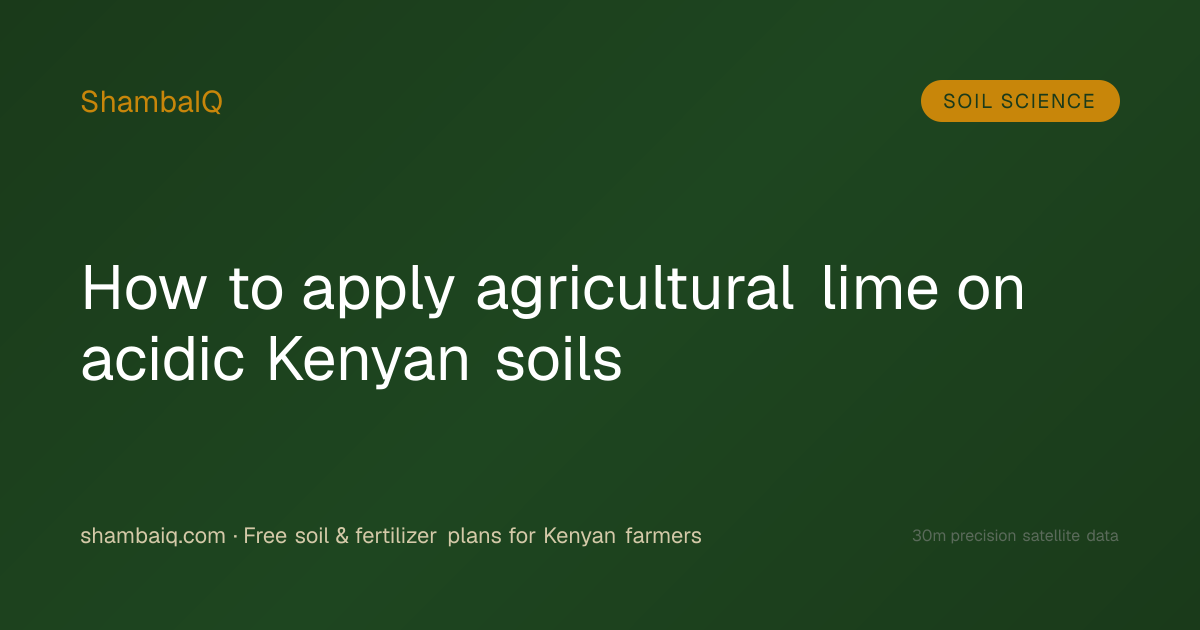 How to apply agricultural lime on acidic Kenyan soils