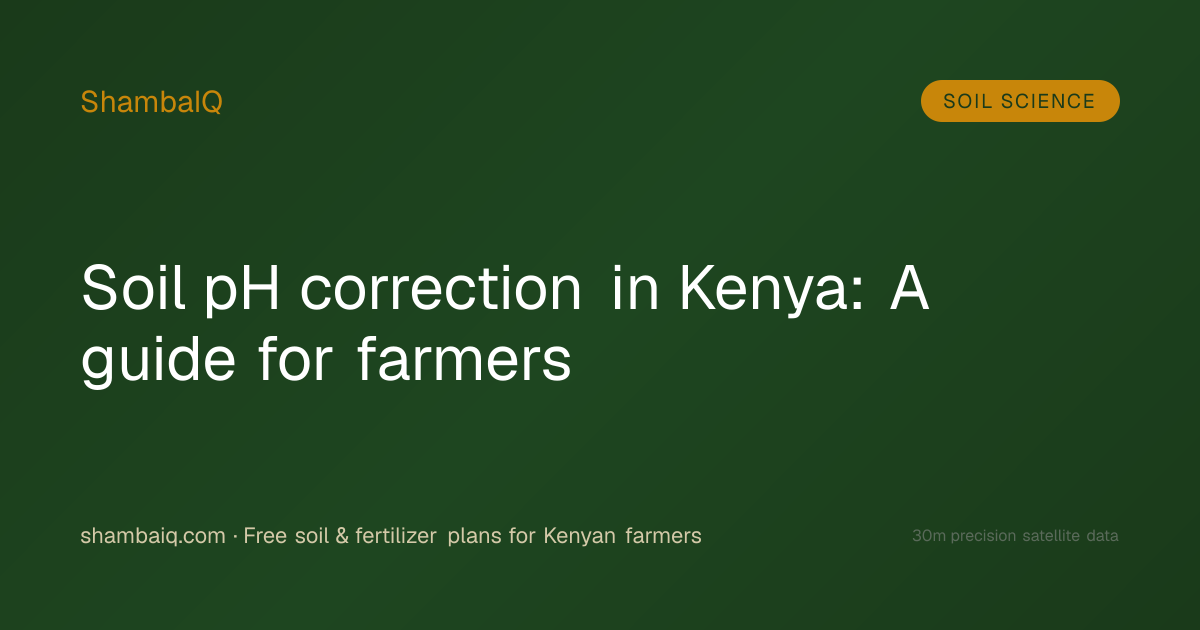 Soil pH correction in Kenya: A guide for farmers